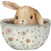🐰