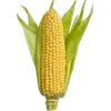 🌽