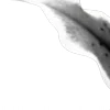 ⭐