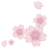 🌸