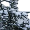 ❄️