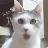 😱