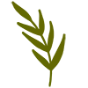 🌿