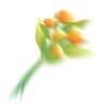 💐