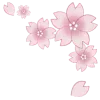🌸