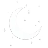 🌟