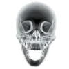 🫧