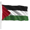 🇵🇸
