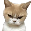 😠