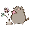 🌷