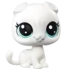 🐱