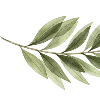 🌿