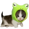 🐸