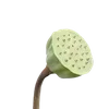 🪷