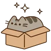 📦