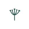 🌱