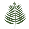 🌿