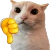 🐈