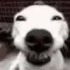 😁