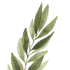 🌿