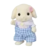 🐇
