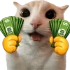 🐈