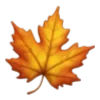 🍁