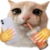🐈