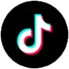🎤