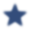 ⭐