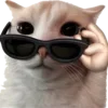 🐈