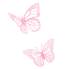 🦋