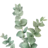🌿