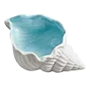 🌊
