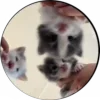 😸