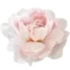 🌸