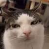 😐