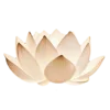 🪷