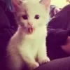 😛
