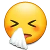 🤧