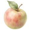 🍏
