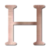 🩷