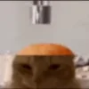 🧠