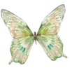 🦋