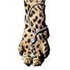 🐆
