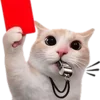 🐈