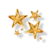 ✨