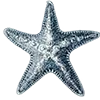 🌟