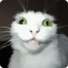 🤪