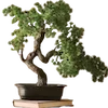 🌳